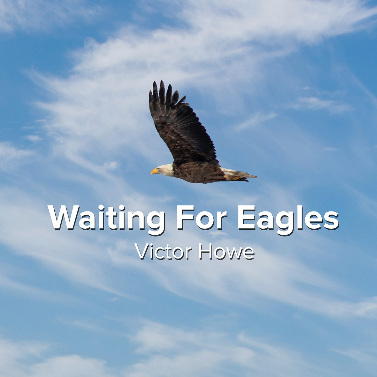 Waiting For Eagles Waiting For Eagles